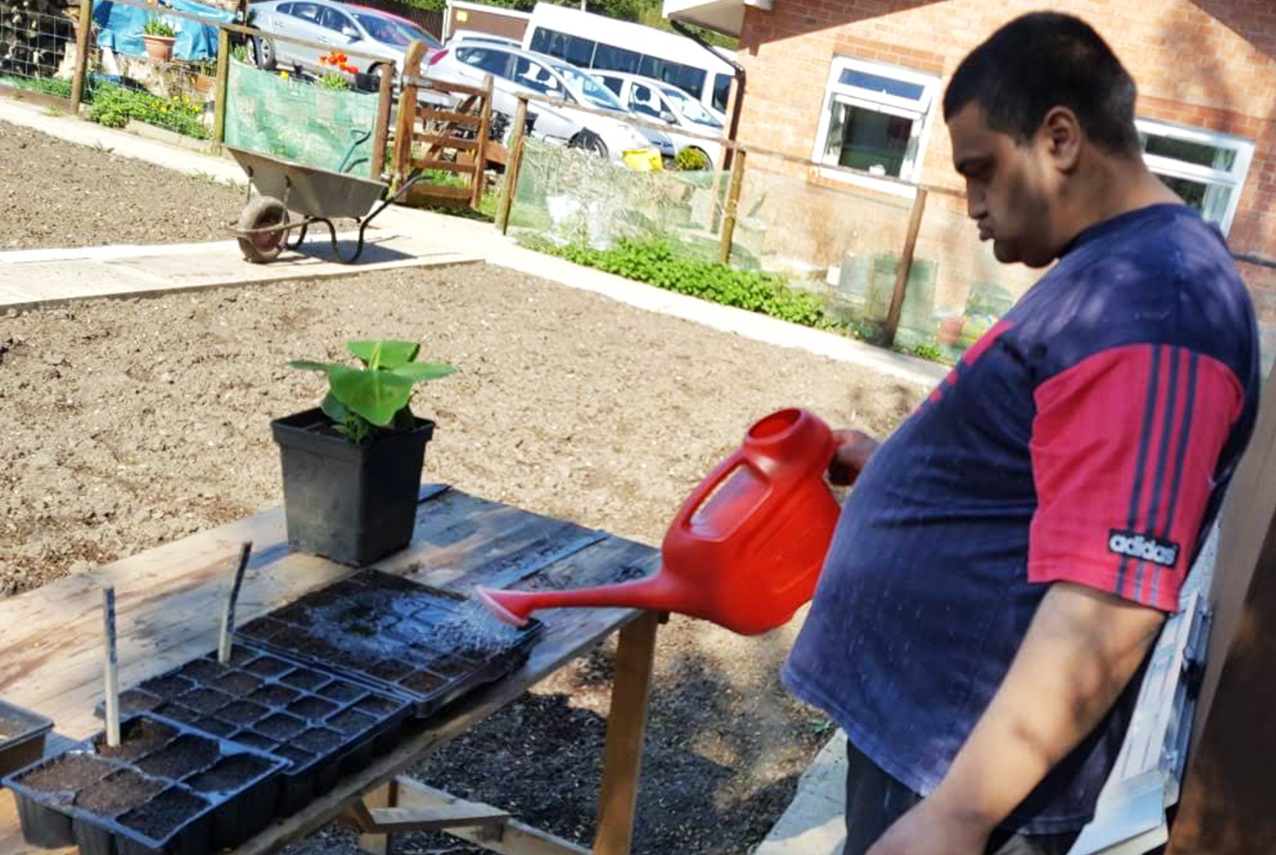 the seeds are planted and prepared in the potting shed